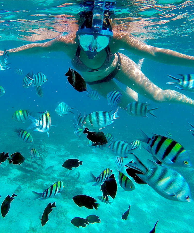 Snorkeling